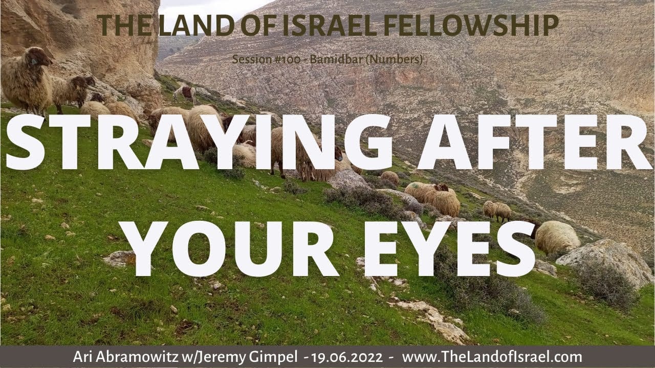 Straying After Your Eyes: The Land of Israel Fellowship
