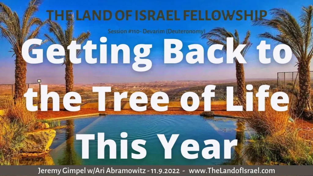 Getting Back to The Tree of Life This Year