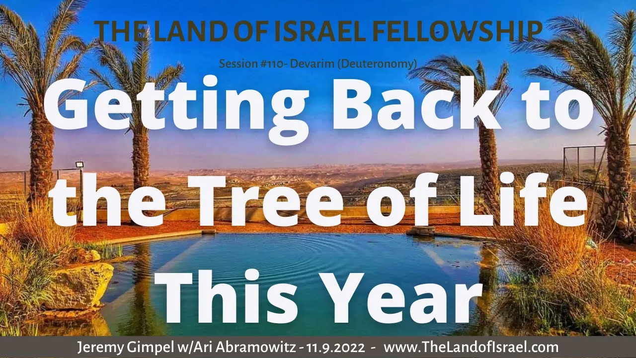 Getting Back to The Tree of Life This Year