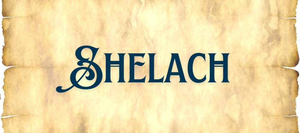 Shelach