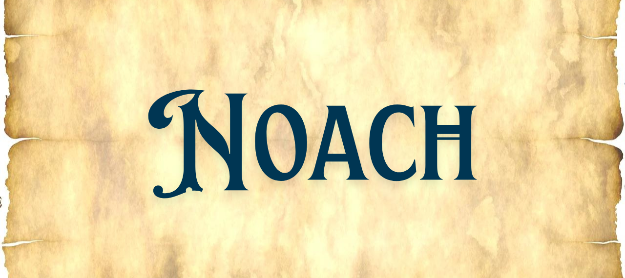 Noach