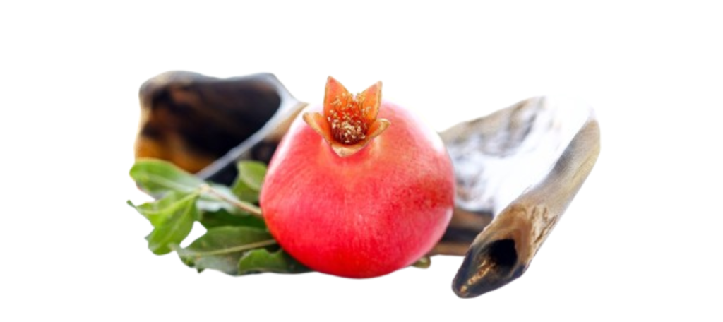 Rosh Hashanah Paradox - Tehila Gimpel: The Land of Israel Fellowship