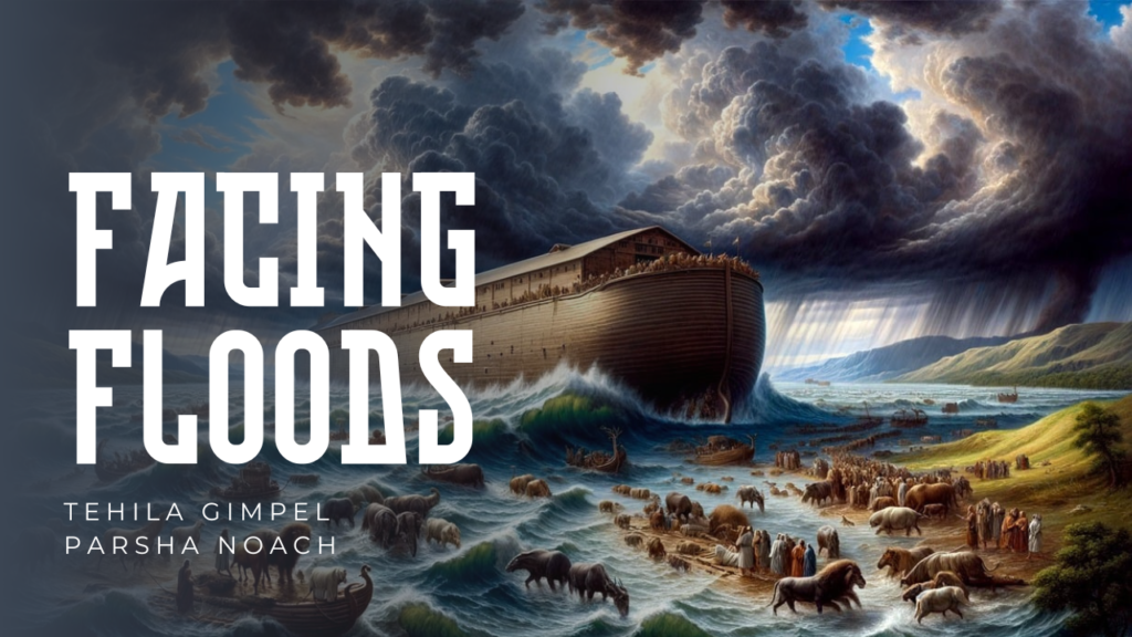 Facing Floods (Parsha Noach) - Tehila Gimpel: The Land of Israel Fellowship