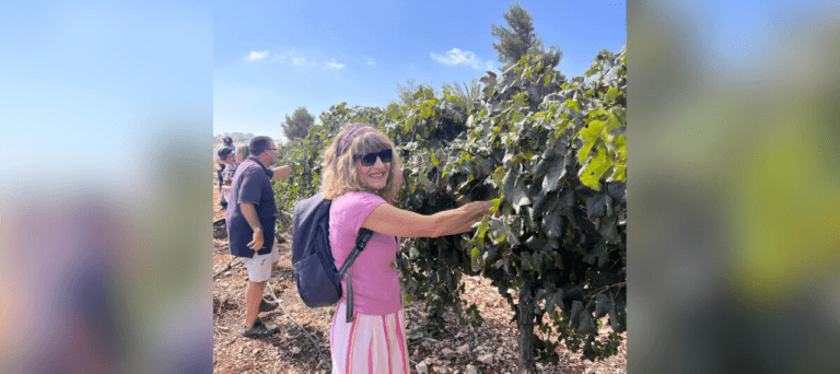 Rejuvenation: Getting Grounded