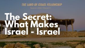 Weekly Torah Portion Vayeitzei and Spiritual Awakening - Finding Light in the Night