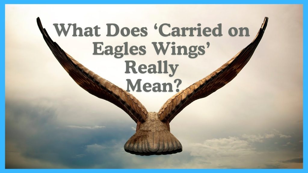 What Does Carried on Eagles Wings Really Mean?