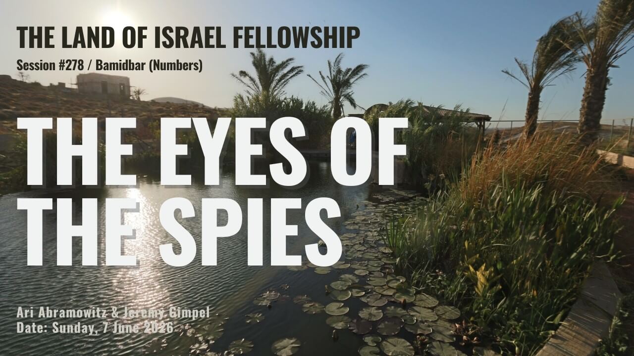 Parashat Shelach: Overcoming the “Grasshopper Mentality” and Seeing with the Eyes of Redemption