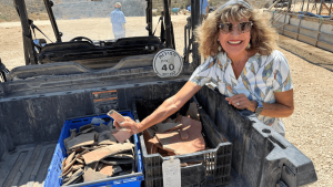 Rejuvenation with Eve Harow