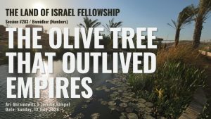 Torah Portion Matot-Masei: Faith, Trust & God's Promises | Land of Israel Fellowship