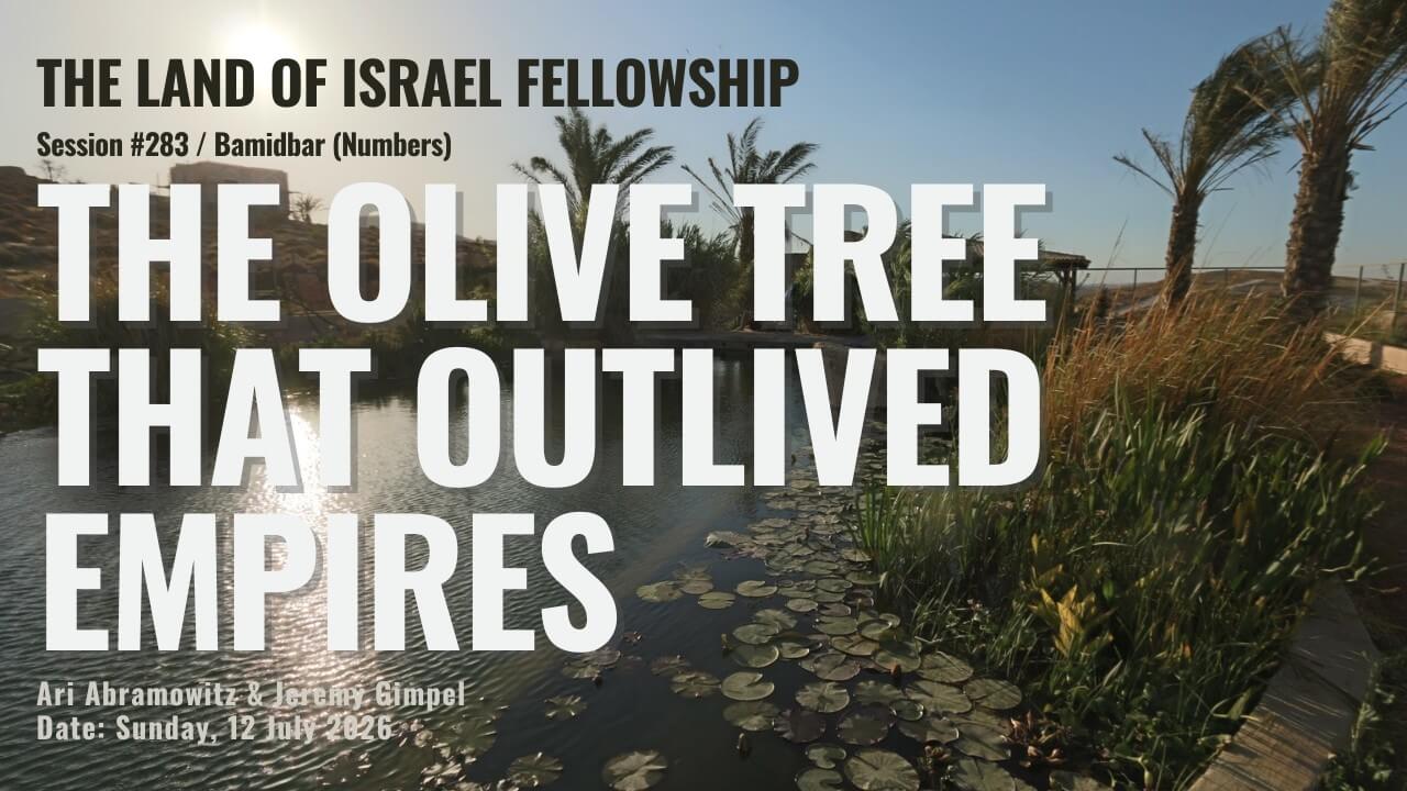 Torah Portion Matot-Masei: Faith, Trust & God's Promises | Land of Israel Fellowship