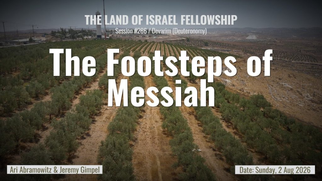 Torah Portion Ekev: Israel, the Nations, and the Redemption of the Land | Land of Israel
