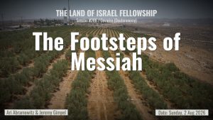 Torah Portion Ekev: Israel, the Nations, and the Redemption of the Land | Land of Israel