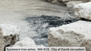 Eve Harow: 5786 Is Over — 9/11, City of David Discoveries & Israel’s Elections
