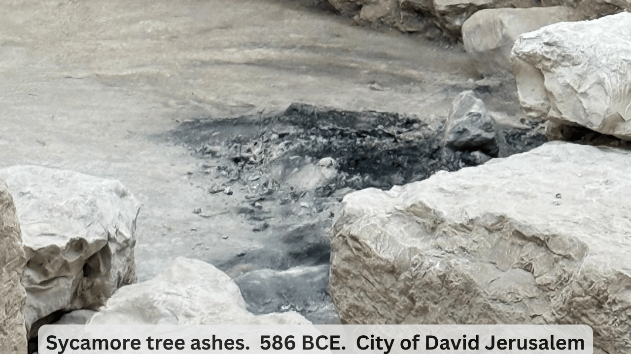Eve Harow: 5786 Is Over — 9/11, City of David Discoveries & Israel’s Elections