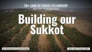 Sukkot in the Land of Israel: From Yom Kippur to the Sukkah