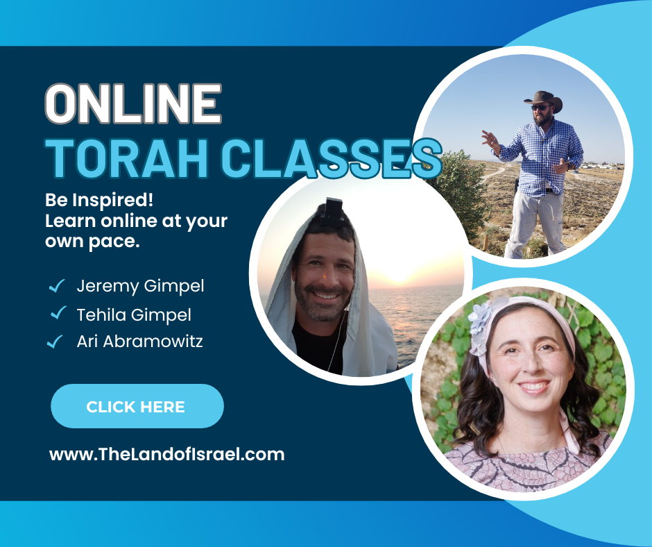 Online Torah Classes